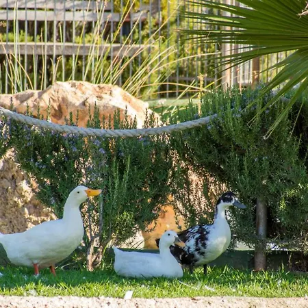 호텔 루랄 엘 코르티조 3*