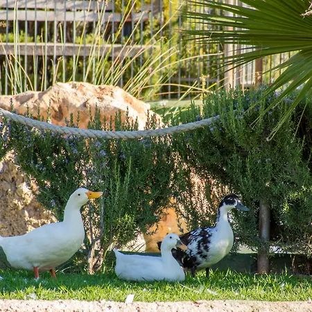 Hotel Rural El Cortijo 3*